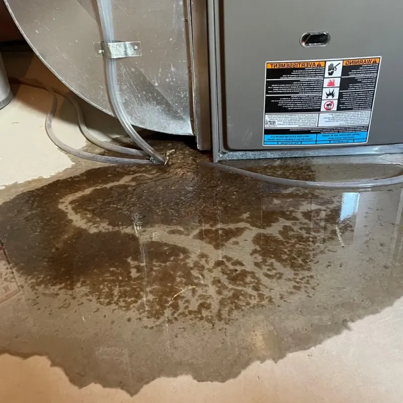 Pipe Burst and Leak Restoration in New Windsor, MD